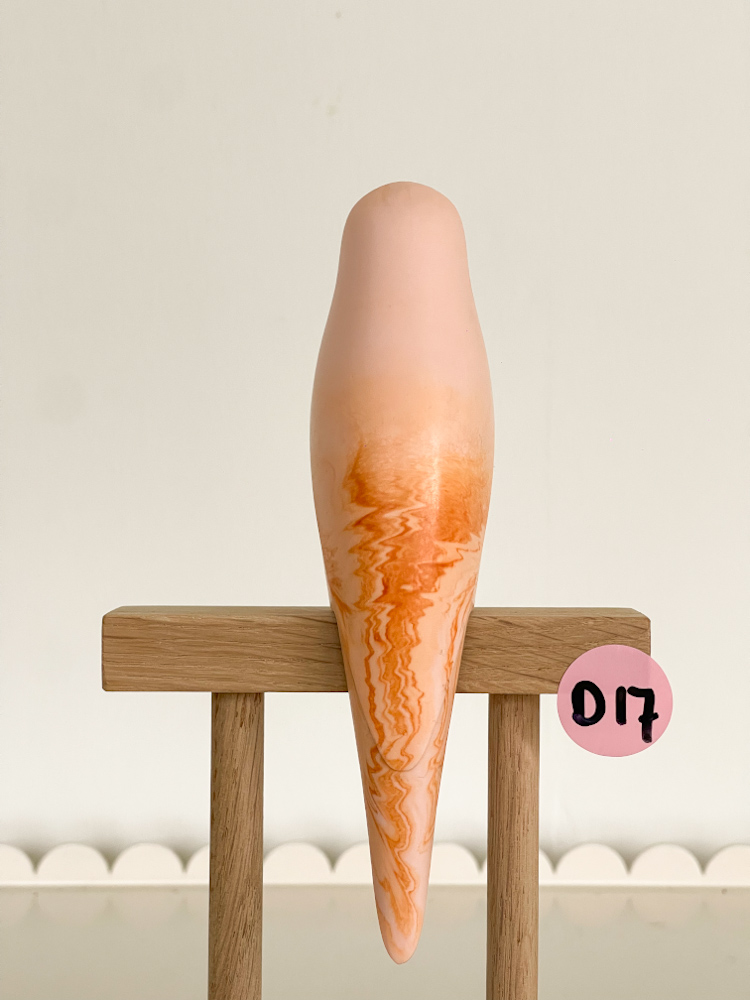 parkiet D17 - Afbeelding 2