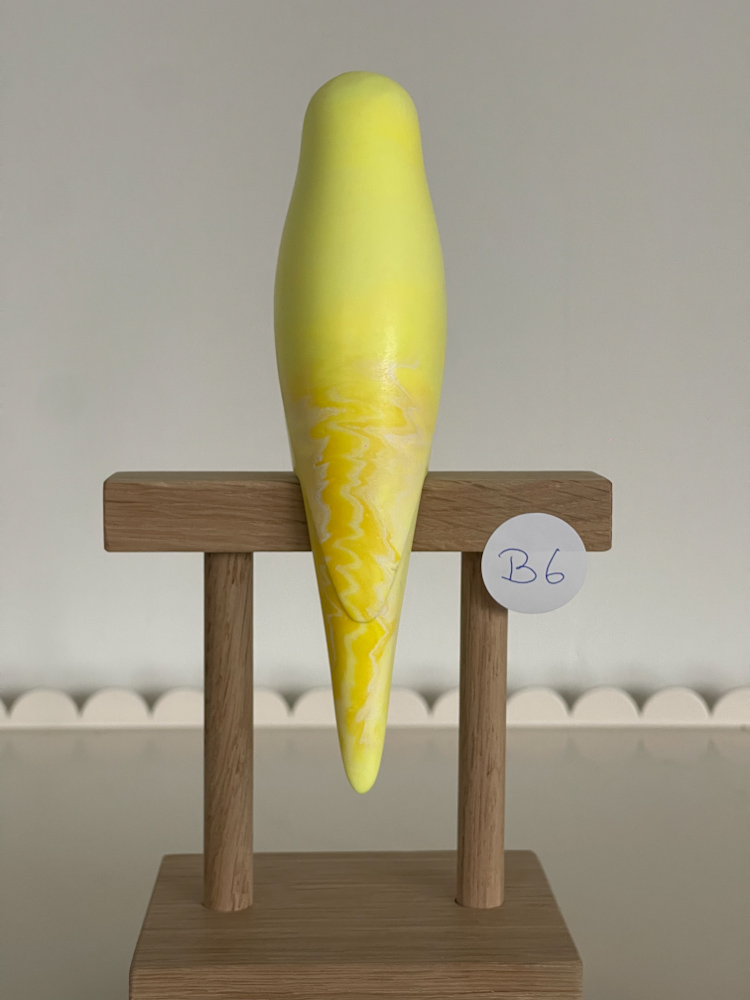 parkiet B6 - Afbeelding 2