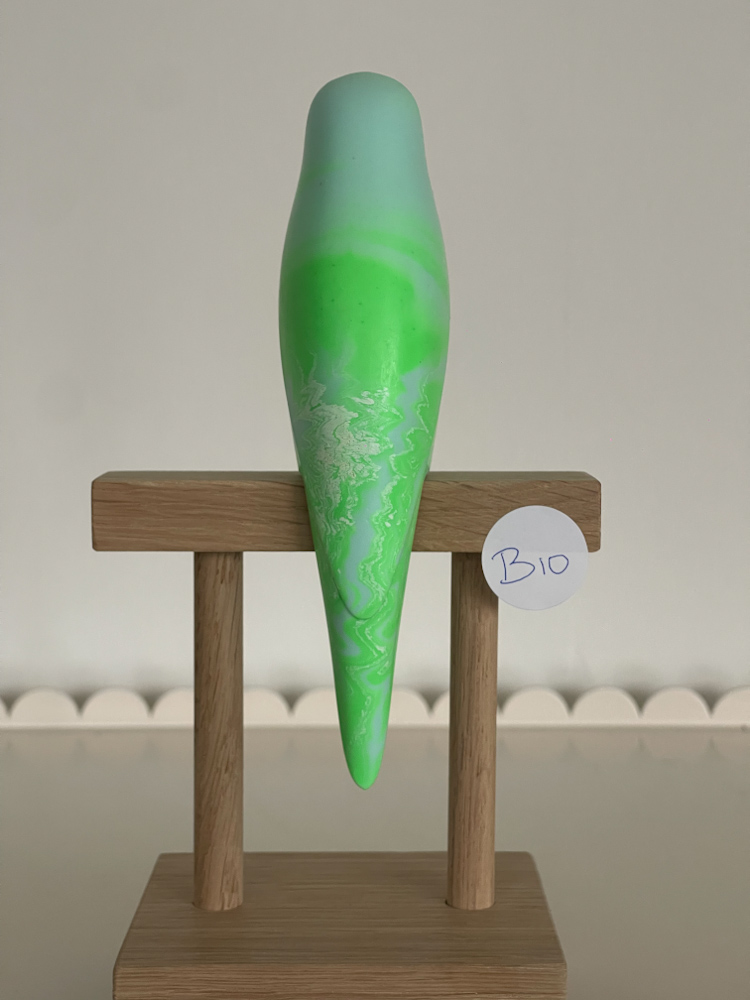 parkiet B10 - Afbeelding 2