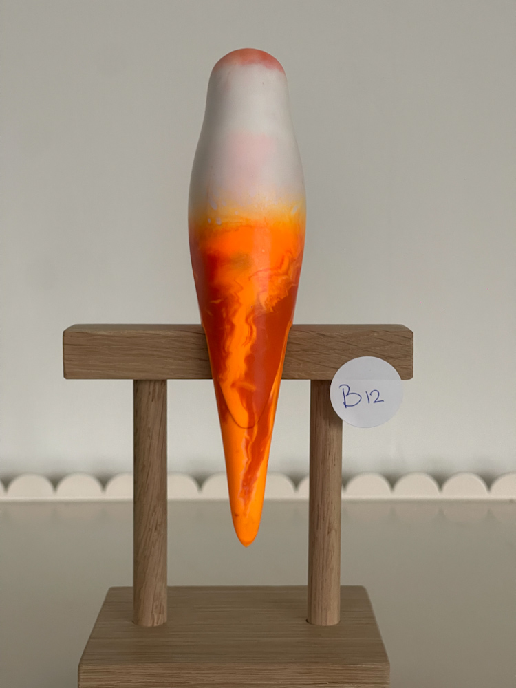 parkiet B12 - Afbeelding 2