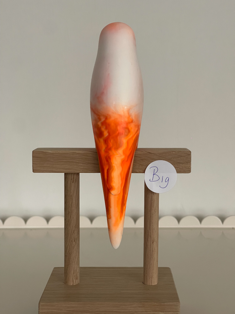 parkiet B19 - Afbeelding 2