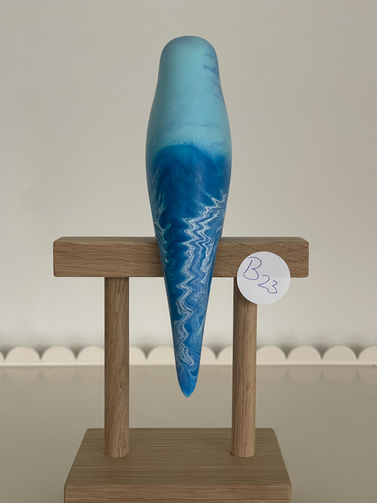 parkiet B23 - Afbeelding 2