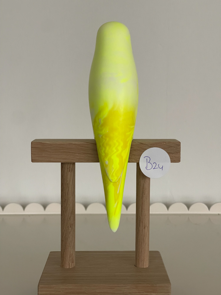 parkiet B24 - Afbeelding 2