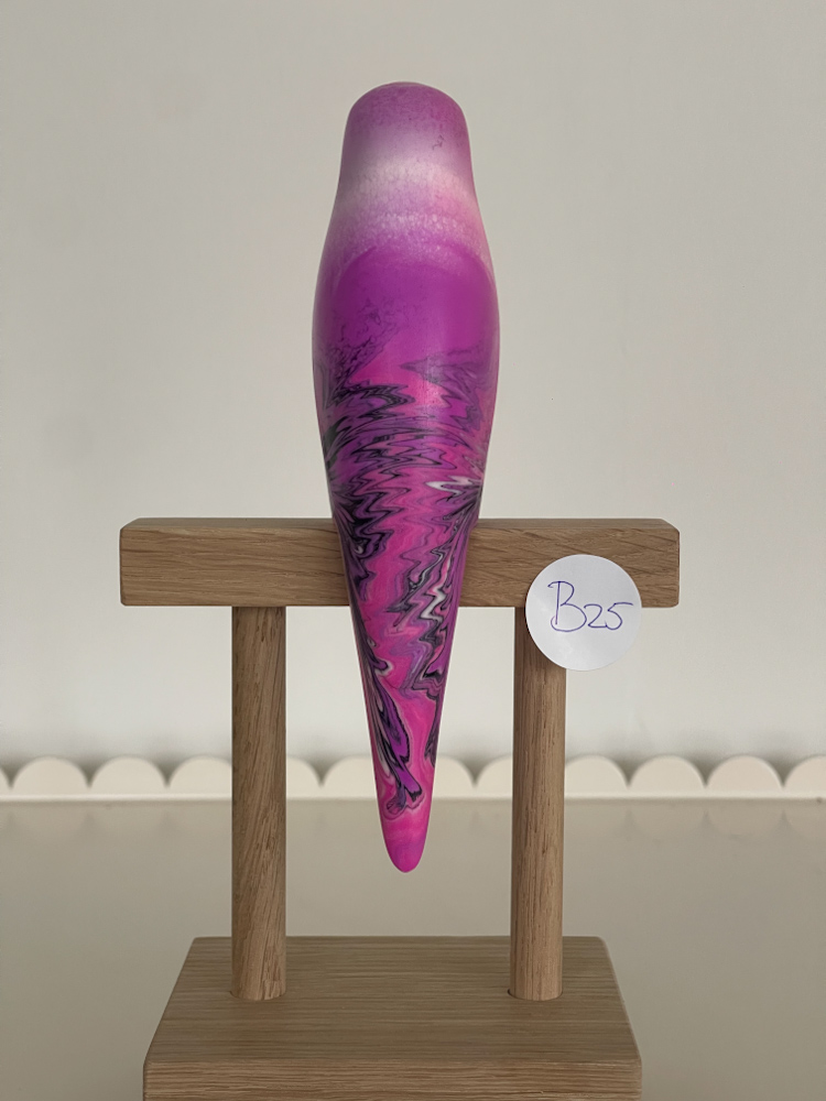 parkiet B25 - Afbeelding 2