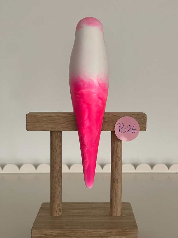 parkiet B26 - Afbeelding 2