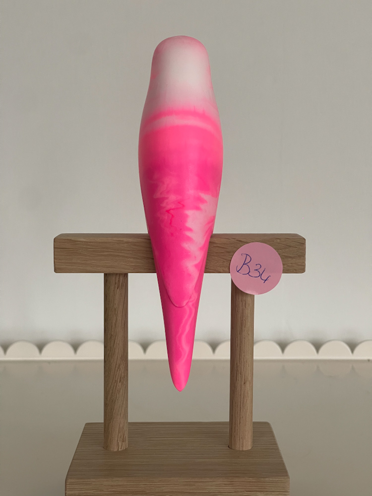 parkiet B34 - Afbeelding 2