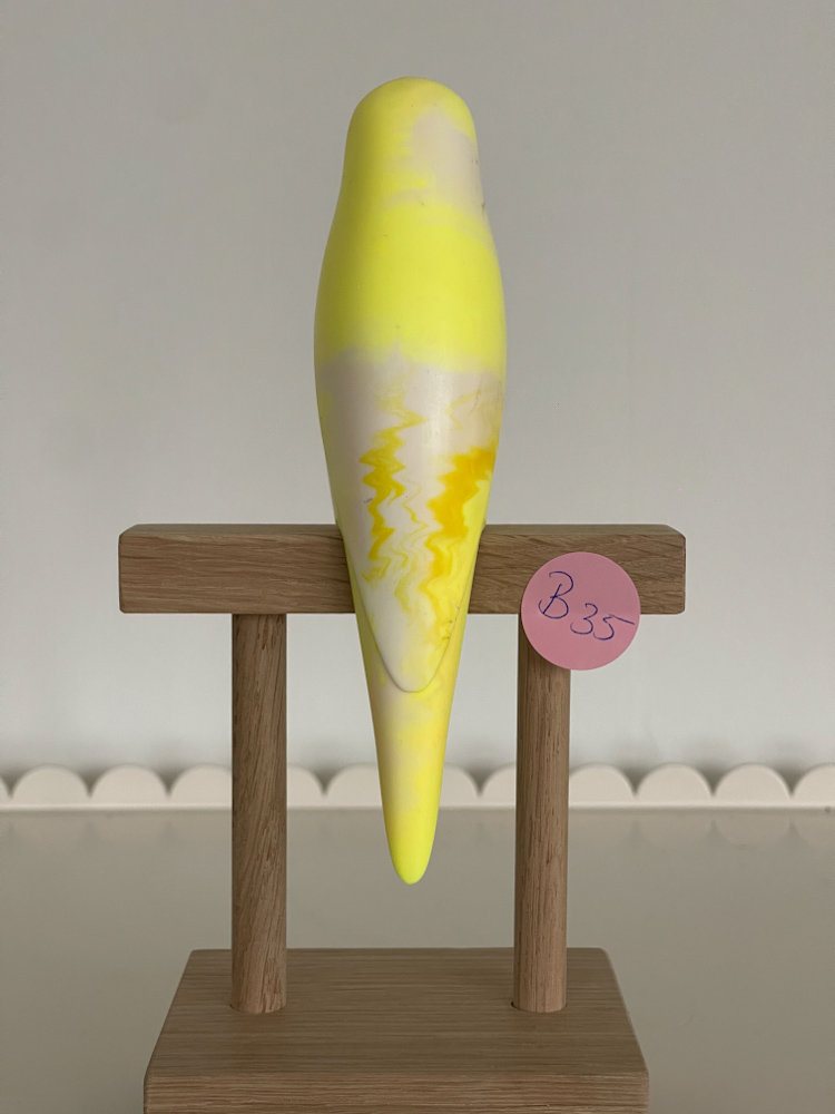 parkiet B35 - Afbeelding 2