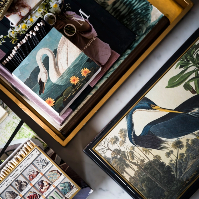 Lucifers XXL doos Zwarte reiger - Afbeelding 3