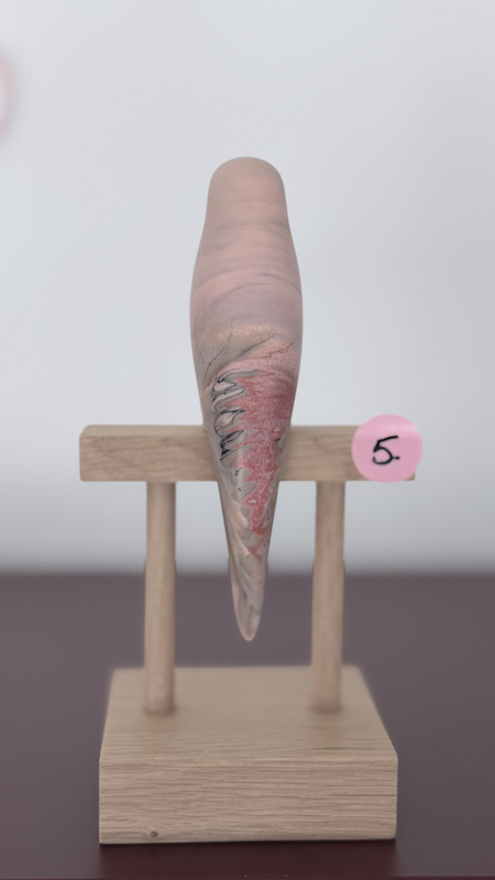 parkiet no.5 - Afbeelding 2