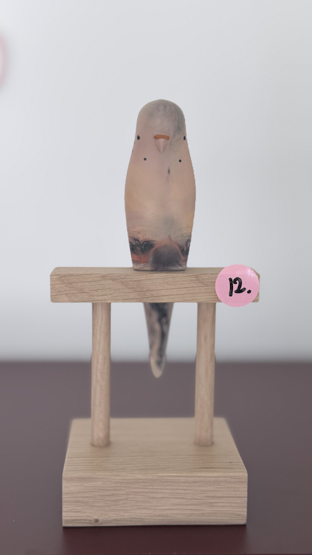 parkiet no.12