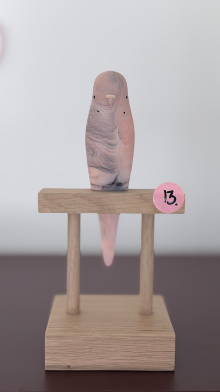 parkiet no.13