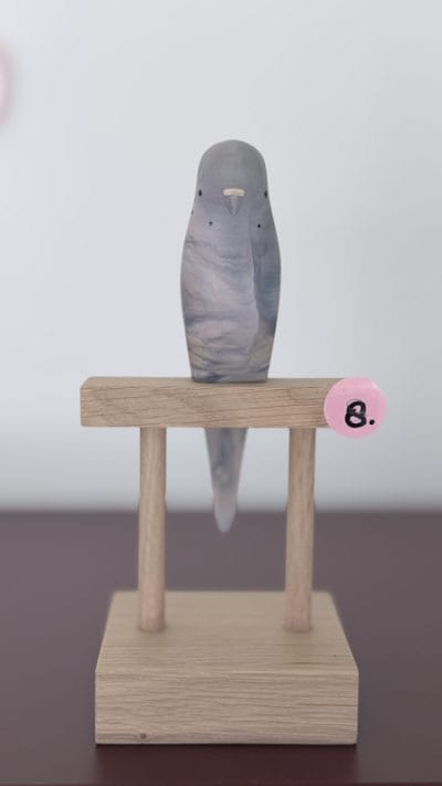 parkiet no.8